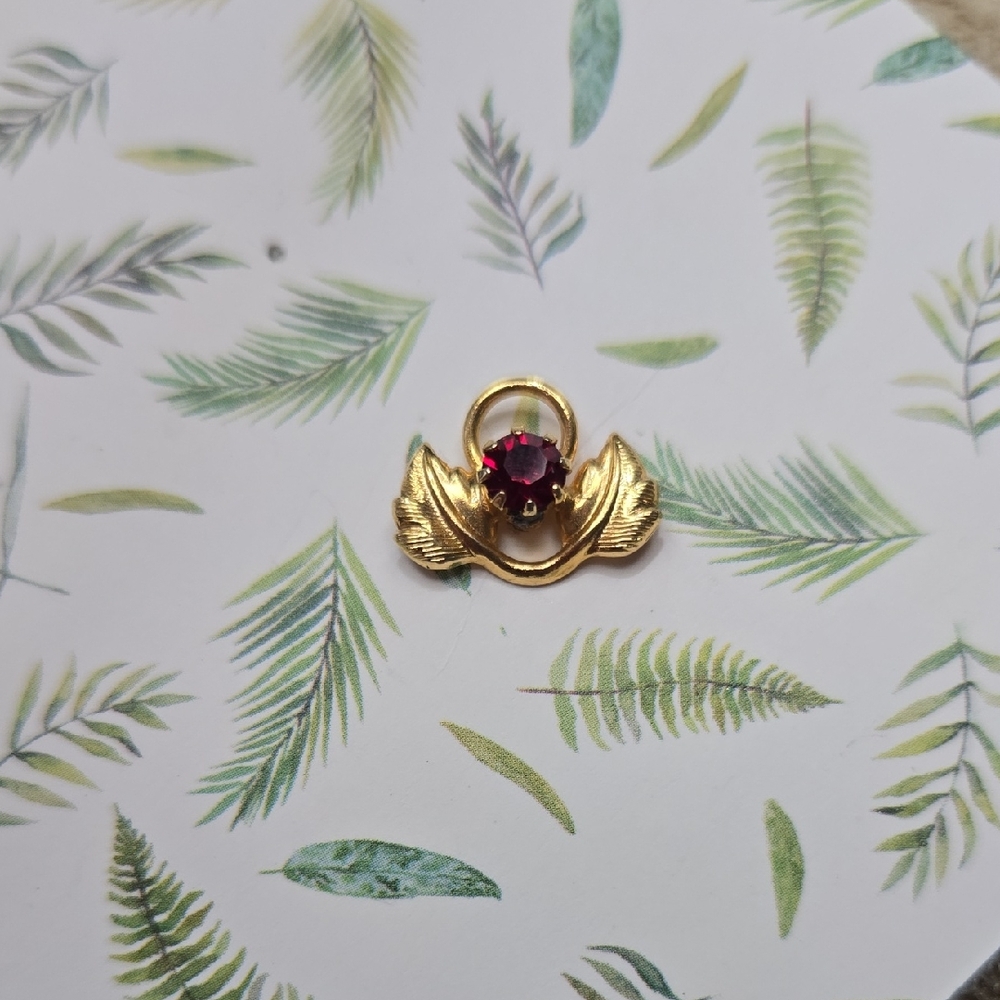 Vintage Elegant Gold and Red Gemstone Scatter Pin/brooch
